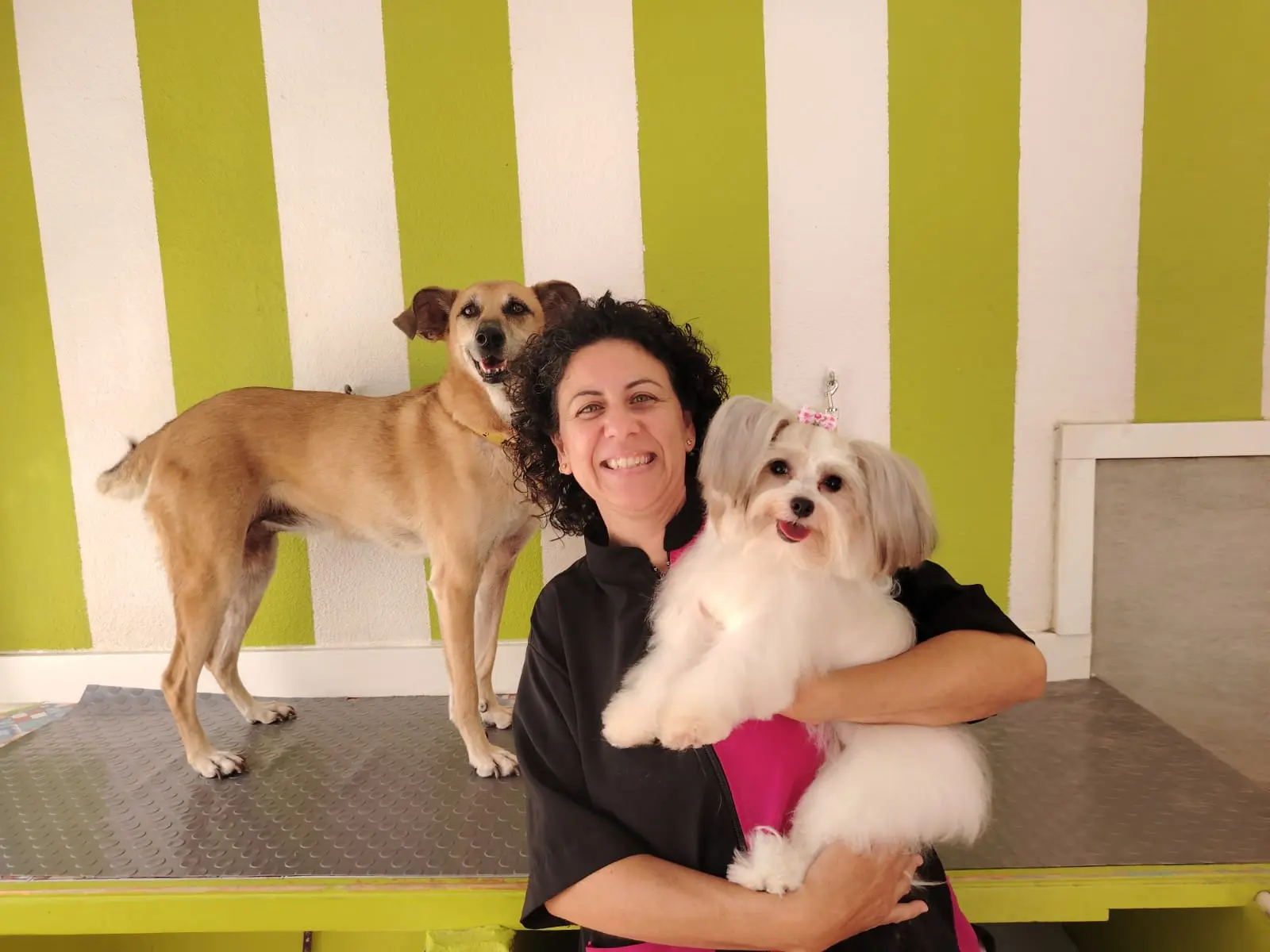 Azucena peluquera canina con sus mascotas