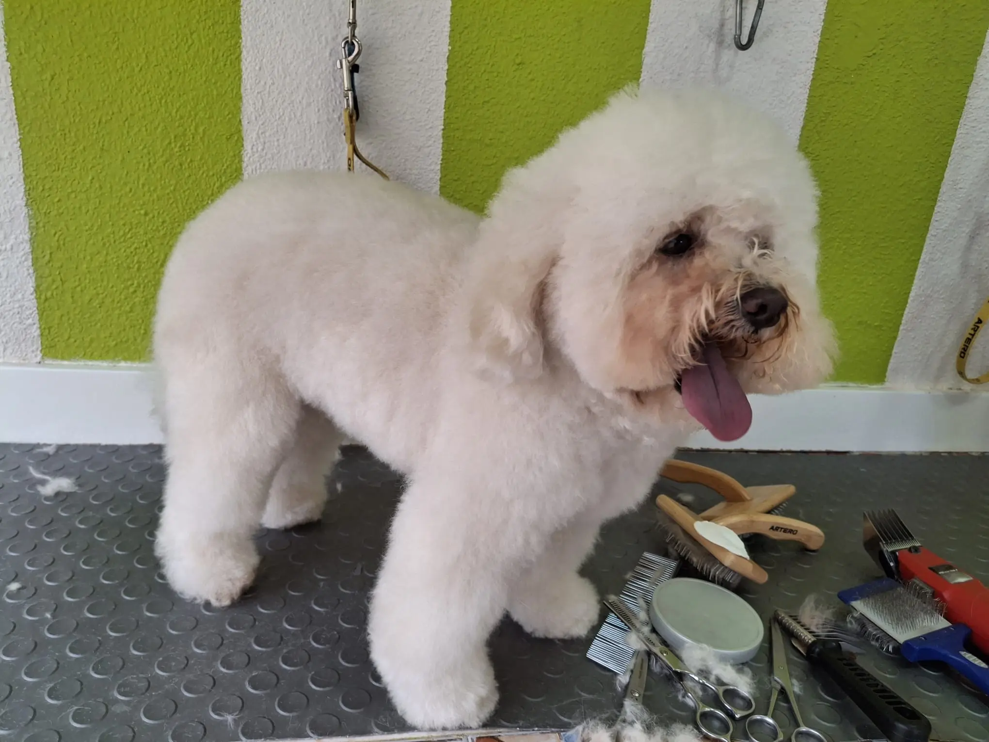 Before