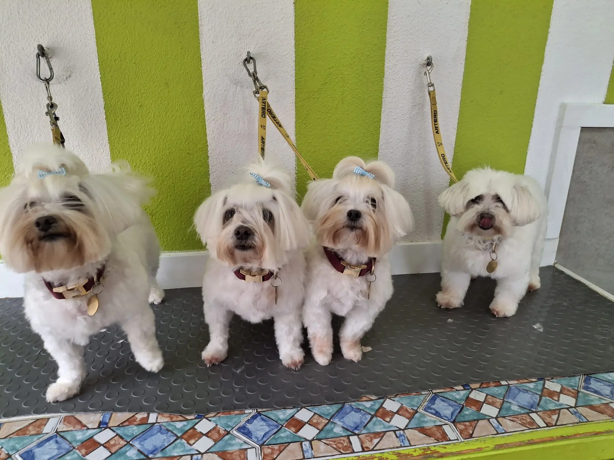 Before